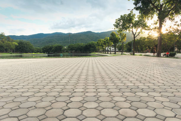 Best Residential Paver Driveway  in Eleanor, WV